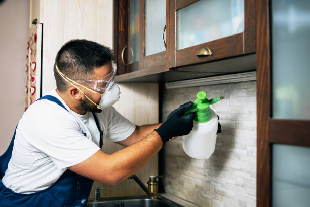 Best Commercial Pest Control Services  in Bowleys Quarters, MD