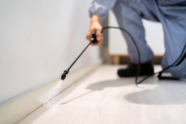 Best Pest Prevention Services  in Bowleys Quarters, MD