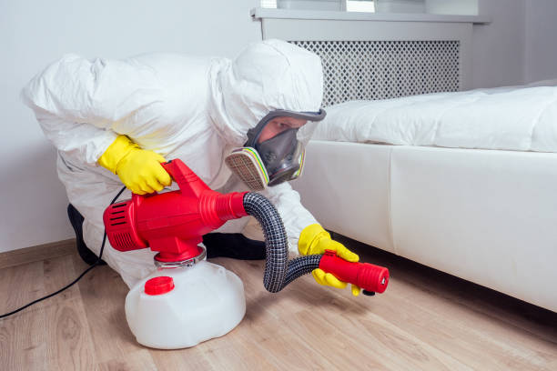Best Termite Control Services  in Bowleys Quarters, MD