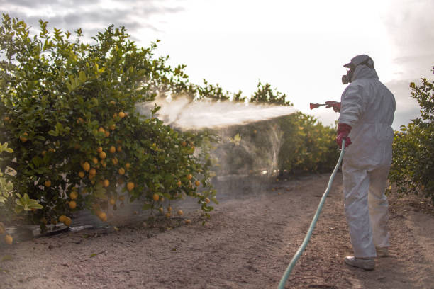 Wasp Removal Services in Bowleys Quarters, MD