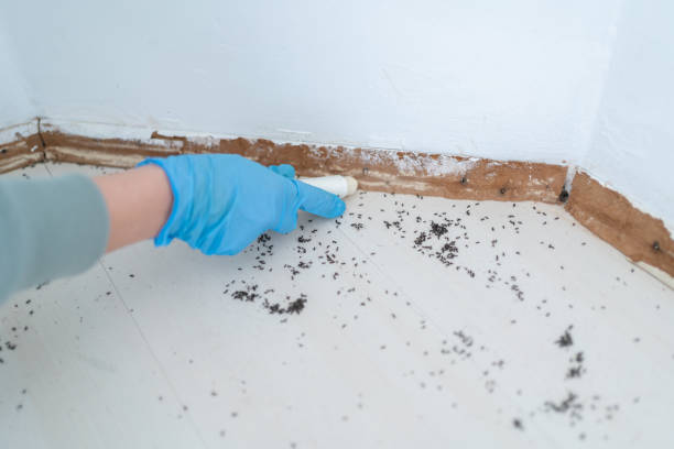 Best Best Pest Control Companies  in Bowleys Quarters, MD